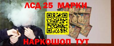 гидропоника Берёзовский